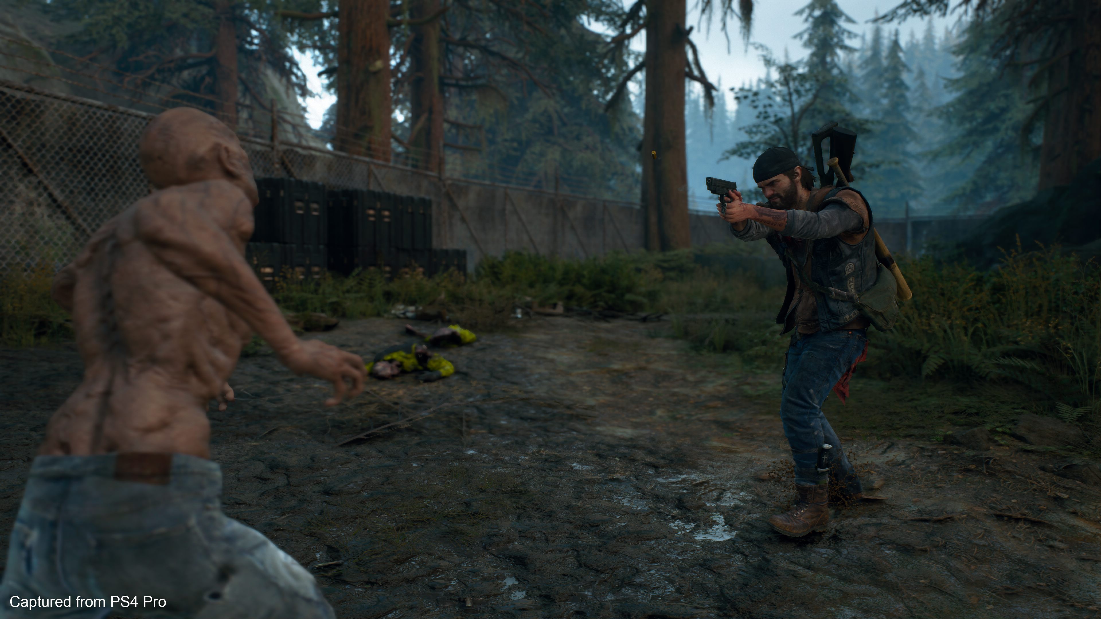 Days Gone - Imagen 33